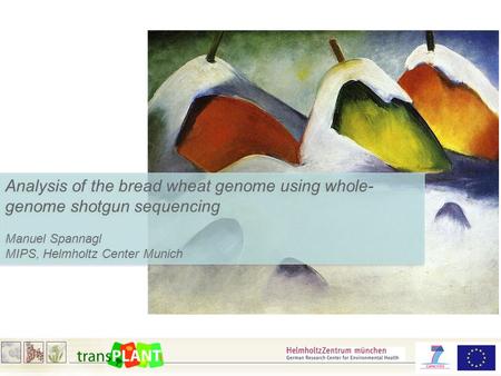 Analysis of the bread wheat genome using whole- genome shotgun sequencing Manuel Spannagl MIPS, Helmholtz Center Munich Analysis of the bread wheat genome.