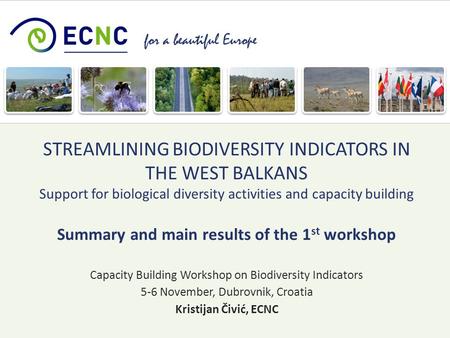 For a beautiful Europe Capacity Building Workshop on Biodiversity Indicators 5-6 November, Dubrovnik, Croatia Kristijan Čivić, ECNC STREAMLINING BIODIVERSITY.