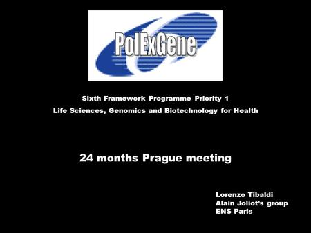 24 months Prague meeting Sixth Framework Programme Priority 1 Life Sciences, Genomics and Biotechnology for Health Lorenzo Tibaldi Alain Joliot’s group.