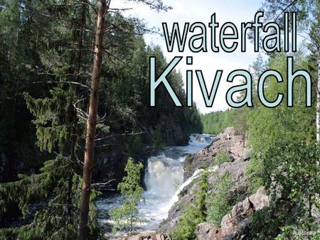 Kivach is probably the most famous waterfall in Russia. It is situated on the Suna River in the Kondopoga District, Republic of Karelia and gives its.