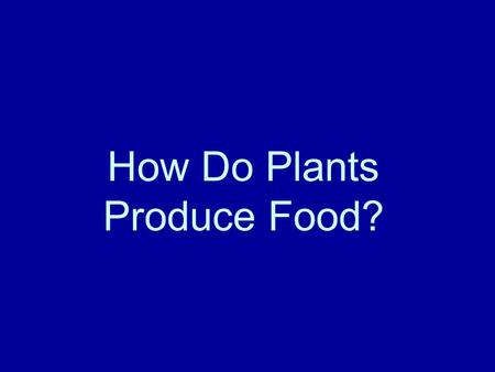 How Do Plants Produce Food?