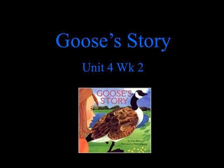 Goose’s Story Unit 4 Wk 2.