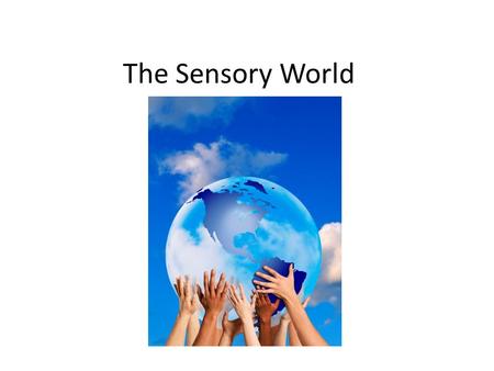 The Sensory World.