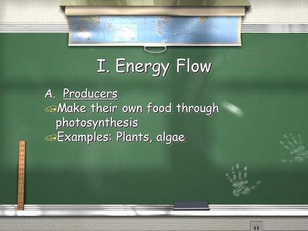 I. Energy Flow A. Producers Make their own food through photosynthesis