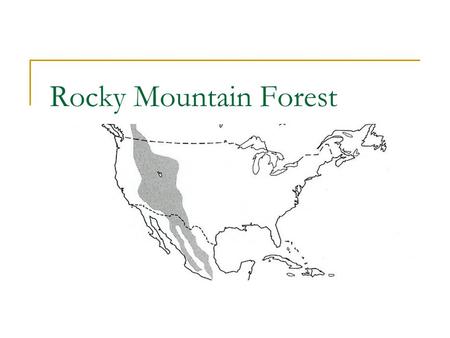 Rocky Mountain Forest. Douglas Fir (Pseudotsuga menziesii) Characterisitcs  Height: 80-200’  Diameter: 2-5’  Needles: evergreen, 2 rows,.75- 1.25’