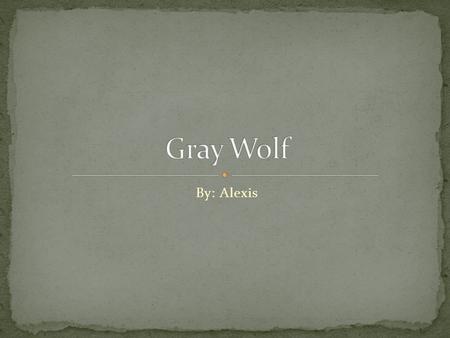 By: Alexis. The Gray Wolf is 4½ to 6½ lbs. The Gray Wolf weighs 25-59 kg. The color of the Gray Wolf is grizzled gray, black, or all white.