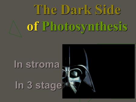The Dark Side of Photosynthesis In stroma In 3 stages.