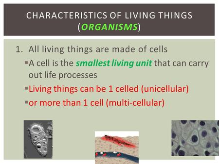Characteristics of Living Things (organisms)