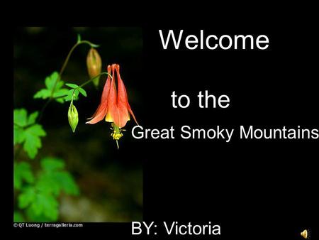 Welcome to the Great Smoky Mountains BY: Victoria.