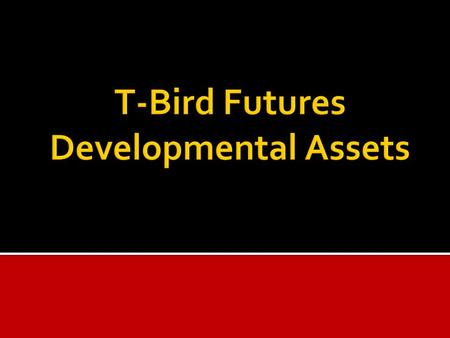  The Developmental Assets come from research done by the Search Institute.  They are like “building blocks” – relationships, experiences, values, attitudes,