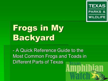 Frogs in My Backyard - A Quick Reference Guide to the Most Common Frogs and Toads in Different Parts of Texas.