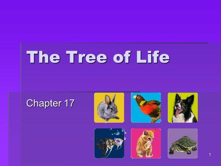 The Tree of Life Chapter 17.