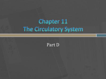 Chapter 11 The Circulatory System