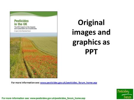Original images and graphics as PPT