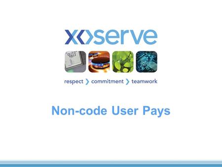 Non-code User Pays. 2 What we will cover Background Current Services Governance Arrangements What is working well What is not working as well.