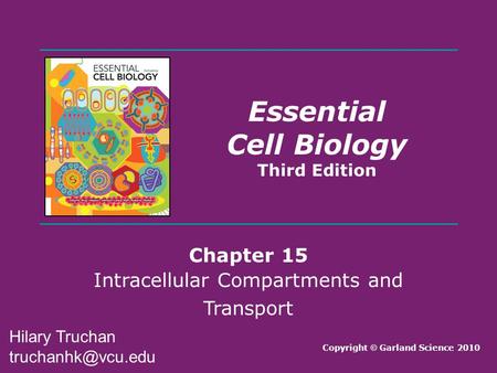 Intracellular Compartments and Transport