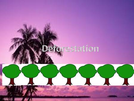 Deforestation.
