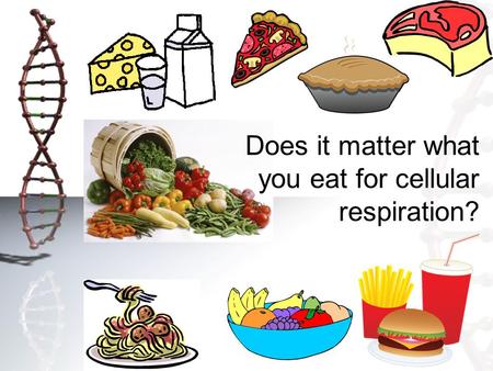 Does it matter what you eat for cellular respiration?