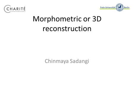 Morphometric or 3D reconstruction Chinmaya Sadangi.
