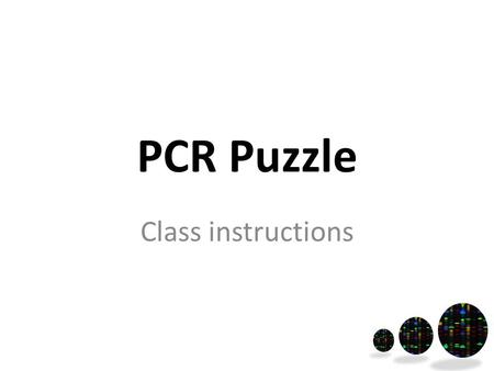 PCR Puzzle Class instructions. Start of lesson Have the following at front of the class: Template.