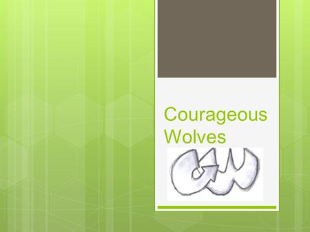 Courageous Wolves. What is the problem ? Many people do not have enough money to pay electric bills and buy batteries. Nowadays, electric bills and the.