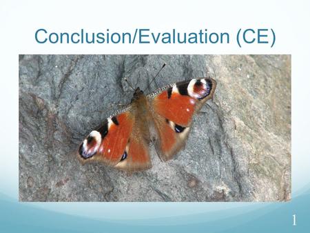 Conclusion/Evaluation (CE) 1. Section 3:Conclusion and Evaluation 2.