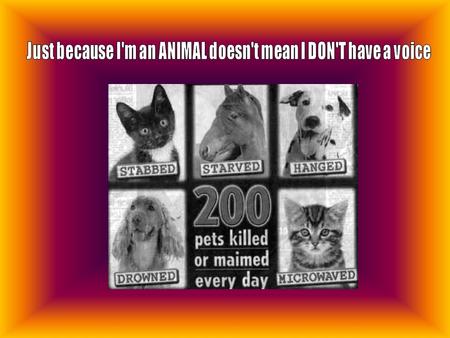 Just because I'm an ANIMAL doesn't mean I DON'T have a voice