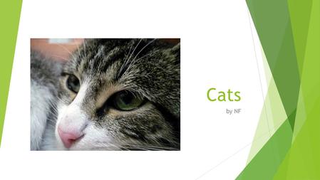 Cats by NF. Characteristics  Cats walk on their toes, like horses and dogs. When they walk, they use a pacing gait, which means they move the feet on.
