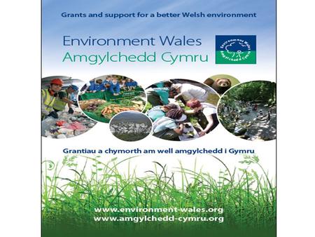 Working in Partnership What do we do? “Pioneering ideas need fertile soil to take root and be nurtured. It's the nurturing bit that Environment Wales.