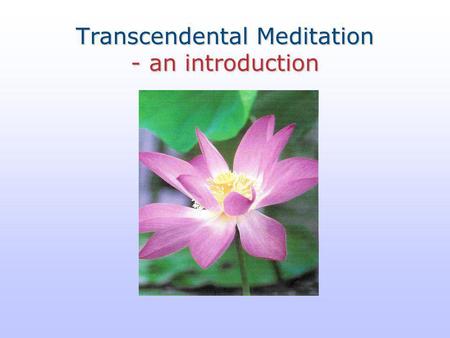 Transcendental Meditation - an introduction