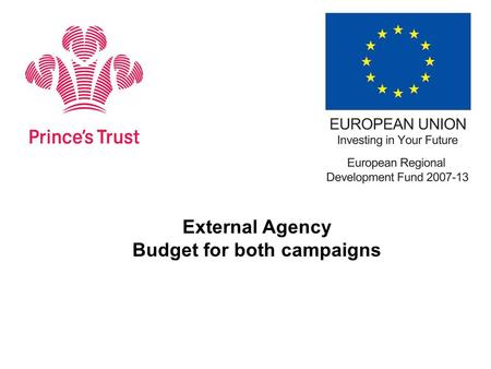 External Agency Budget for both campaigns.  Agency budget for youth facing & private sector campaign – including any media buying required is £49,000.