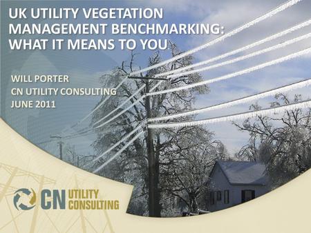 UK UTILITY VEGETATION MANAGEMENT BENCHMARKING: WHAT IT MEANS TO YOU WILL PORTER CN UTILITY CONSULTING JUNE 2011 WILL PORTER CN UTILITY CONSULTING JUNE.