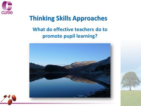 Thinking Skills Approaches What do effective teachers do to promote pupil learning?