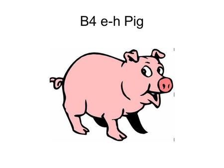 B4 e-h Pig.