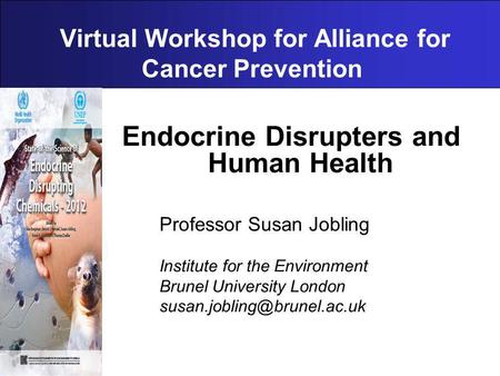 Virtual Workshop for Alliance for Cancer Prevention Endocrine Disrupters and Human Health Professor Susan Jobling Institute for the Environment Brunel.