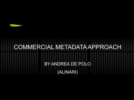 COMMERCIAL METADATA APPROACH BY ANDREA DE POLO (ALINARI)