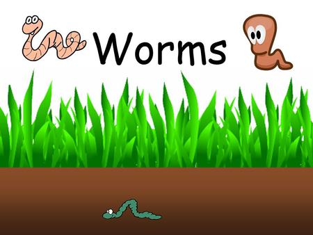 Worms.