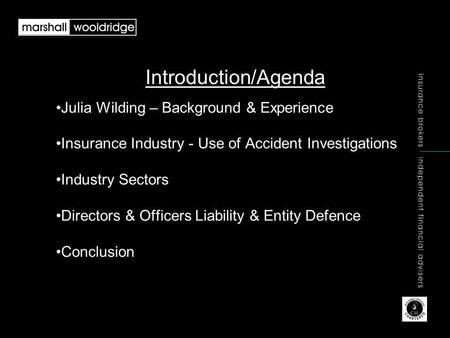 Introduction/Agenda Julia Wilding – Background & Experience Insurance Industry - Use of Accident Investigations Industry Sectors Directors & Officers Liability.