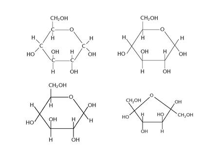 Monosaccharides (CH2O)n If n=3, triose (glyceraldehyde)