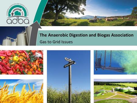 The Anaerobic Digestion and Biogas Association Gas to Grid Issues.