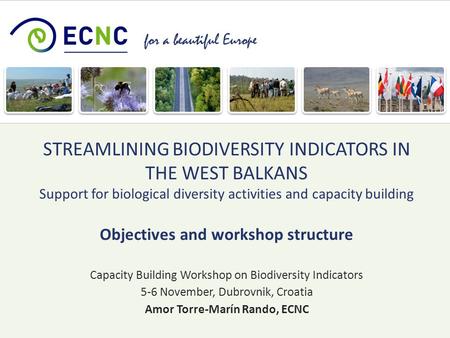 For a beautiful Europe Capacity Building Workshop on Biodiversity Indicators 5-6 November, Dubrovnik, Croatia Amor Torre-Marín Rando, ECNC STREAMLINING.