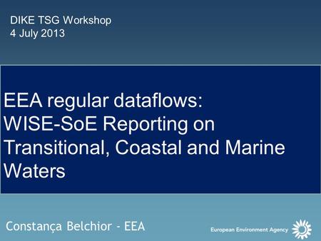 DIKE TSG Workshop 4 July 2013 EEA regular dataflows: WISE-SoE Reporting on Transitional, Coastal and Marine Waters Constança Belchior - EEA.