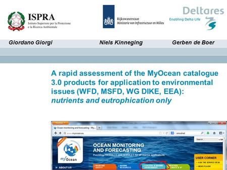 A rapid assessment of the MyOcean catalogue 3.0 products for application to environmental issues (WFD, MSFD, WG DIKE, EEA): nutrients and eutrophication.