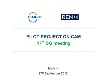PILOT PROJECT ON CAM 17 th SG meeting Madrid 27 th September 2012.