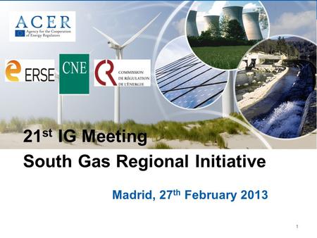 1 Madrid, 27 th February 2013 21 st IG Meeting South Gas Regional Initiative.