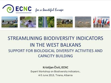 For a beautiful Europe Kristijan Čivić, ECNC Expert Workshop on Biodiversity indicators, 4-5 June 2013, Tirana, Albania STREAMLINING BIODIVERSITY INDICATORS.