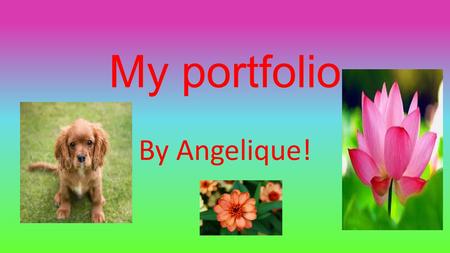 My portfolio By Angelique! Multiple intelligence quiz!!