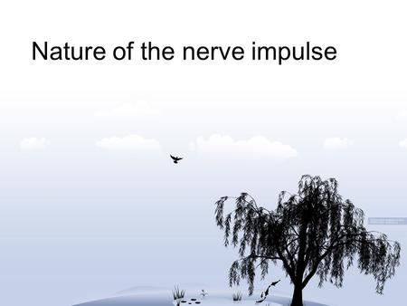 Nature of the nerve impulse