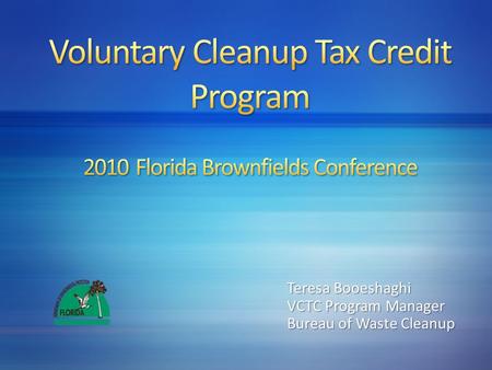 Teresa Booeshaghi VCTC Program Manager Bureau of Waste Cleanup.