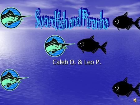 Swordfish and Piranha Caleb O. & Leo P..